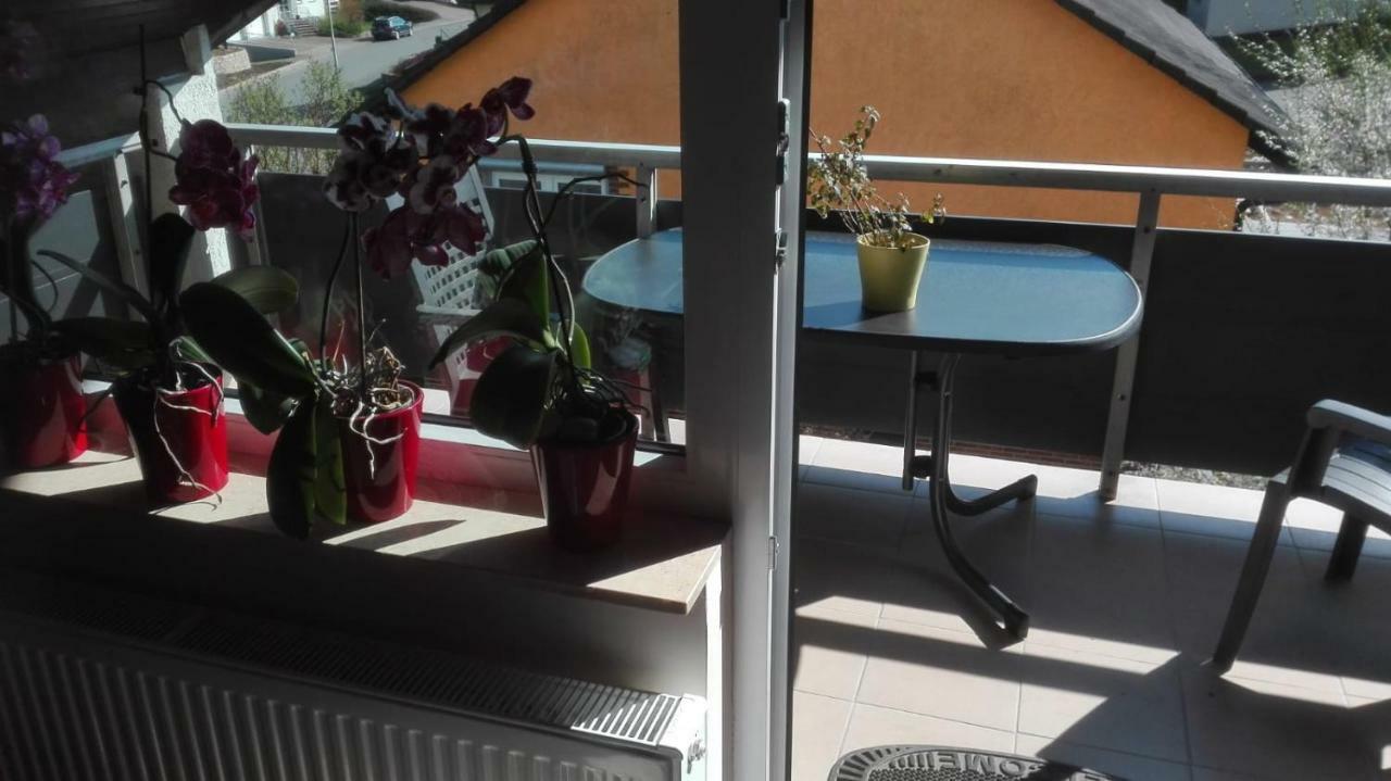Obere Ferienwohnung Asshoff Zwischen Odenwald, Taubertal Und Bauland Berolzheim المظهر الخارجي الصورة