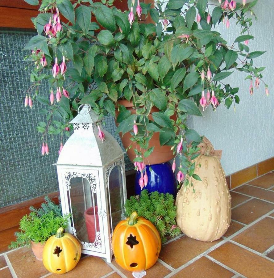 Obere Ferienwohnung Asshoff Zwischen Odenwald, Taubertal Und Bauland Berolzheim المظهر الخارجي الصورة